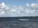 Silver Arrow at Lac la Biche