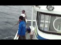 Pesca de Dourado no Jap�o