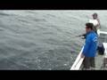 Pesca de Dourado no Japão