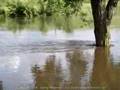 Iowa Floods 2008 - Beaver Creek (West Side)