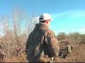 Bowhunting Hogs in Benavides Texas Bowhunting Hogs in Benavides Texas