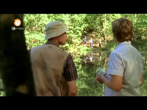 Löwenzahn - 250 Frösche - Der Prinz vom matschigen Tuempel