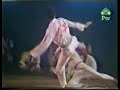 Kung Fu vs taekwondo