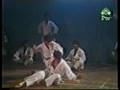 Brelaint skill fight (must watch)