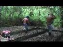 cocaine in bolivia