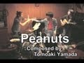 Kawasemi House - Peanuts