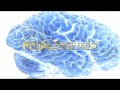 Trapcode Particular MAD 180 Trapcode Particular MAD 180