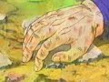The history of trunks