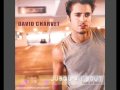 clip video David Charvet All I want is you