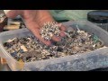 Tsunami wreckage heads to US shores