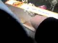 Passover Goose
