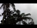 I uploaded a @YouTube video http://t.co/EjlS9mr8 Bats of Sydney 15