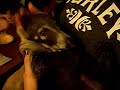Cuddly suck foot time Cuddly suck foot time