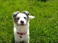 Nia, 4months+1week