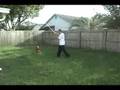 American Pitbull Terrier Plays with Flirt Pole