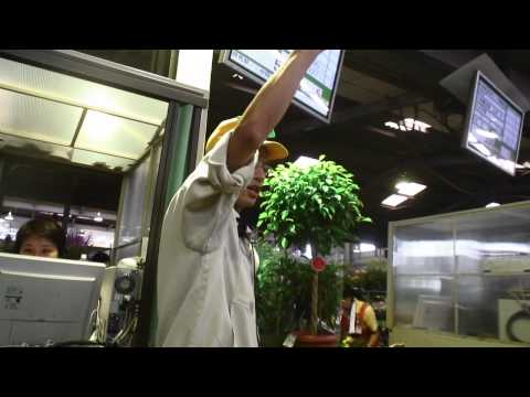 PLANTS + WALK / Tokyo local flower market | フラワーマーケット PLANTS + WALK / Tokyo local flower market | フラワーマーケット