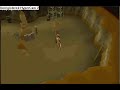 runescape anti rabbit shield