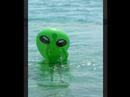 Alien on holidays