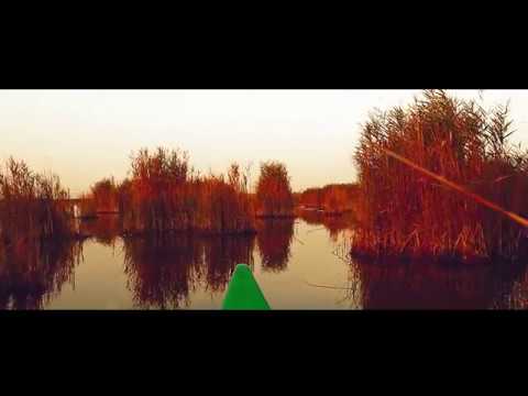 YouTube előnézeti kép