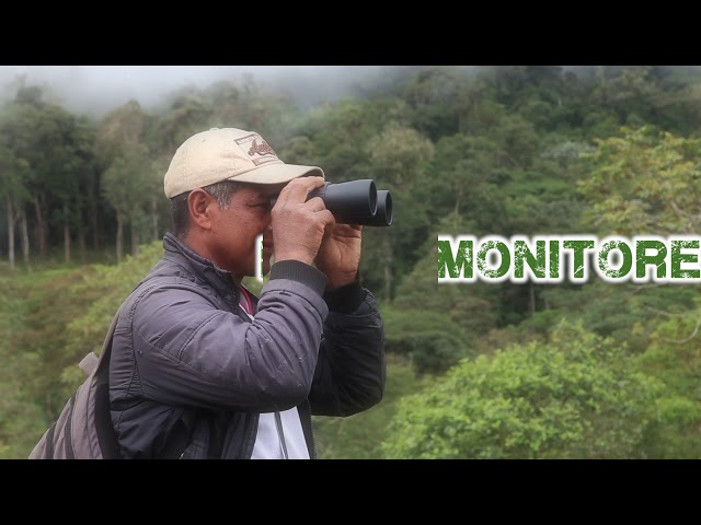 BIODIVERSIDAD FUENTE DE VIDA