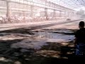 arena radical o omega quebrado tudo vinnyboy22