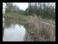 videos de Swamp Jump