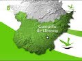 Campillo de Llerena