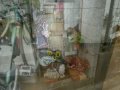 日本エアロビックスセンタ-までウォ-キング!