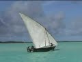 Pemba Island Carlo\ Pemba Island Carlo\
