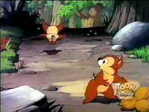 Donald Duck - High Rating Video - www.CartoonXprez.com