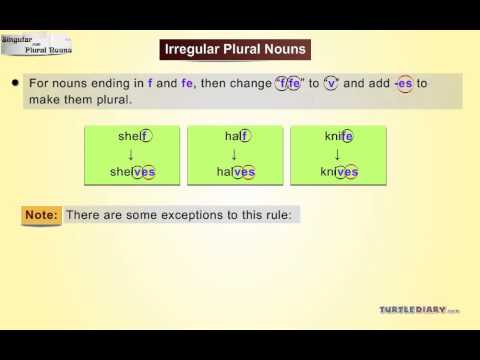 Singular & Plural Nouns *Everything You Need To Know* Grammar for Kids!