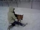 Playing in the Snow (5)