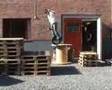 Niklas 3´60 Norr