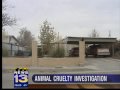 Man accused of animal cruelty
