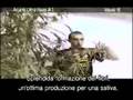 Green House Arjan's Ultra Haze#1 Grow with Italian Subtitles