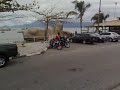 Galo no camar�o 2009 - Caturatma