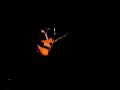 ryan adams - when the stars go blue ryan adams - when the stars go blue