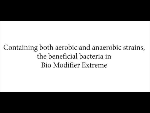 how to eliminate protein in urine