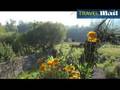 Brittany boating holiday View Video