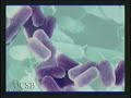 Disease-Oriented Collaborative Research Projects