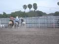rOddeO..!
