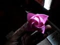 My Rose