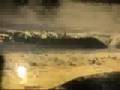 Perfect Kirra 1979
