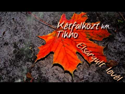 Kétfalközt km TIKHO - Elsárgult levél