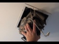 temp-thumb