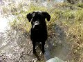 Patrick Lockyer Presents Kenzie Lake Part two