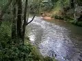 YEGUADA VALLE CONOCER VUESTRA OPINIÓN