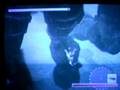 shadow of the colossus secret