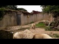 Besuch im Heidelberger Zoo