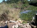 PSS PANTANAL